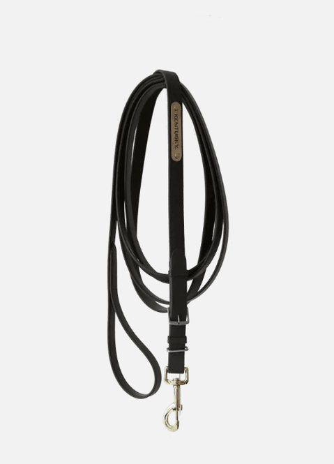 Hovedbilde Kentucky stallion lead 4m