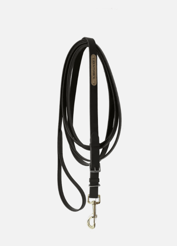 Kentucky stallion lead 4m