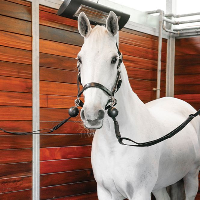Hovedbilde HW Barnsafe Cross Tie