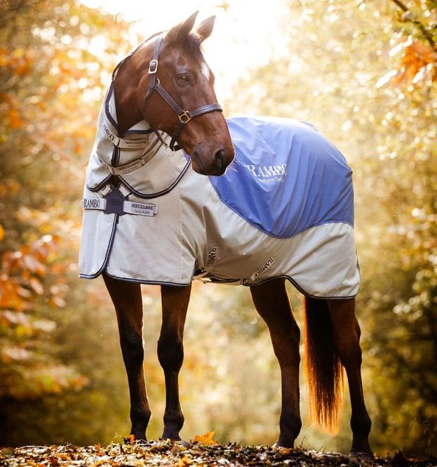 Hovedbilde HW Rambo Autumn Series