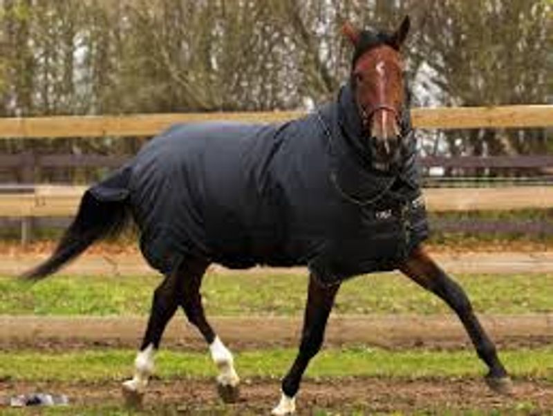 Horseware Trot Plus Heavy TO 350g.