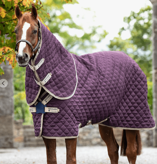 Hovedbilde HW Amigo Stable Disc 200g  - Burgunder