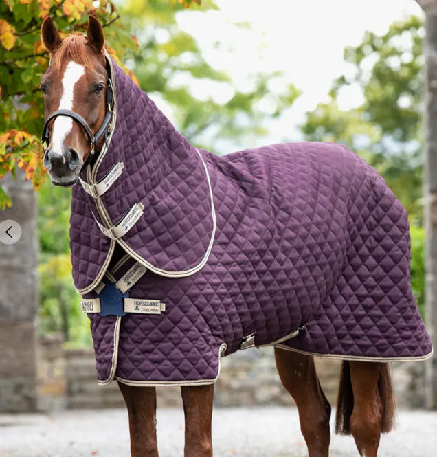Hovedbilde HW Amigo Stable Disc 200g  - Burgunder