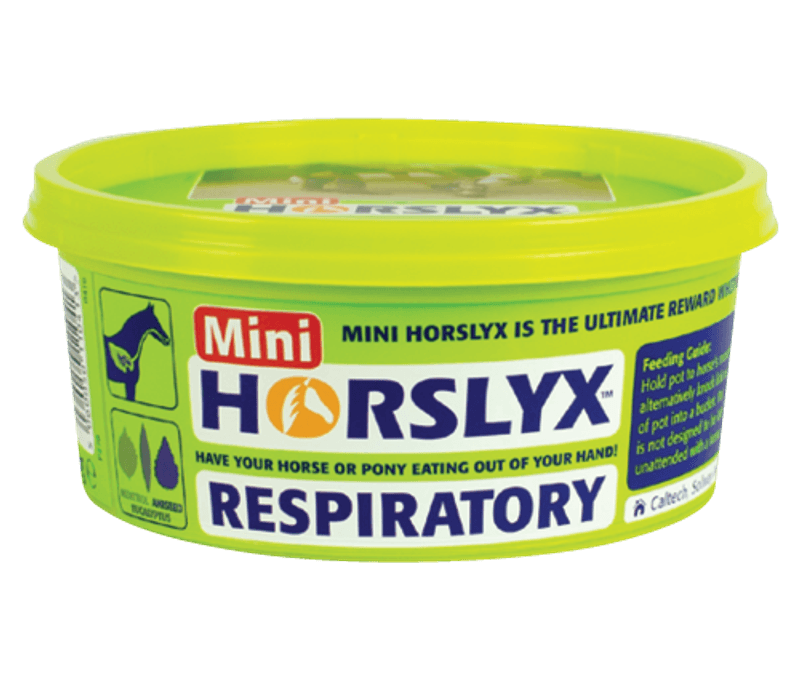 Horslyx Respiratory 650g.