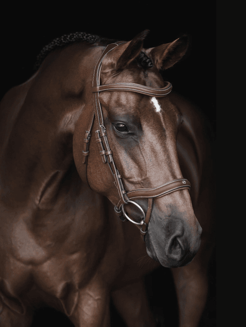 Hovedbilde Lippo Eccelente Trinse