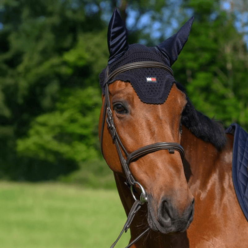 Tommy Hilfiger Lexington Fly Hood